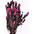 FLOR SECA MARAPUAMA - Imagem 3