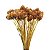Pimentinha de Cabeça - Flor Seca para Decoração - Imagem 1