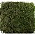 Musgo Barba de Velho 24g - Imagem 1
