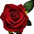 Rosa Artificial de Veludo Ref. CQ - 1 - Imagem 3