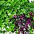 Placa de Folhagem Artificial 49x49 cm Ref. L010 - Imagem 2