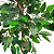 Árvore Artificial Ficus 1,8m Ref. 8409B - Imagem 3