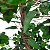 Árvore Artificial Ficus 1,5m Ref. 8409 - Imagem 3