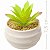 Suculenta Artificial Com Vaso - Ref: Y38-1 - Imagem 4
