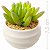 Suculenta Artificial Com Vaso - Ref: Y38-1 - Imagem 1