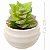 Suculenta Artificial Com Vaso - Ref: Y38-1 - Imagem 2
