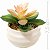 Suculenta Artificial Com Vaso - Ref: Y38-1 - Imagem 3