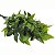 Folhagem Artificial Ref. XF65040 - Imagem 1