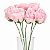 Buquê de Rosas Perfumadas em E.V.A 6 unid.- Ref.354-16 Rosa - Imagem 2