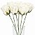 Buquê de Rosas Perfumadas em E.V.A 6 unid.- Ref.354-16 Branco - Imagem 2