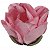 Forminha de Papel para Doces - Rosa Repicada 20un - Rosa - Imagem 1