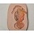 Molde de Silicone - Cavalo Marinho Ref. 195 - Imagem 1