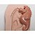 Molde de Silicone - Cavalo Marinho Fofo Ref. 318 - Imagem 1