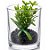 Suculenta Artificial com Vaso de Vidro 8cm Ref. MOD2 - Imagem 1
