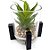 Suculenta Artificial com Vaso de Vidro e Suporte 11,5cm Ref. CB4826 - Imagem 1