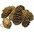 Pinhas Natalinas de Fibra Natural 10 unid. - Ref. MD-10 - Imagem 1