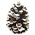 Pinha Natural Natalina Pintada 10cm - 1 unidade - Imagem 3