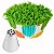 Bico de Confeitar Inox Wilton Chuveirinho #234 - Imagem 2