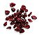 Cranberry Desidratado - Imagem 1