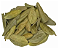 Boldo em Folhas - Imagem 1