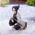 Figure Shinobu Kocho Squatting Demon Slayer - Original Sega - Imagem 3