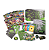 Mega Evolution - Perfect Order - Elite Trainer Box - Inglês - Imagem 2