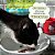 HELLO KITTY- sabor moela de pato para gato - Imagem 3