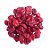 CRAMBERRY INTEIRO KG - Imagem 1