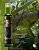 Azeite Casa Gabriel Rodrigues Origine 250ml - Imagem 3