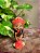 Mini Orixás - Imagem 1