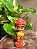 Mini Orixás - Imagem 7