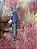 LIP GLOSS STITCH - Imagem 1