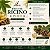 Óleo de Rícino Puro 100% Natural 20ml - Imagem 4