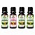 Kit 4 Óleos Naturais 20ml Melaleuca, Rícino, Rosa Mosqueta e Alecrim - Imagem 1