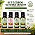 Kit 4 Óleos Naturais 20ml Melaleuca, Rícino, Rosa Mosqueta e Alecrim - Imagem 2