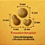 Ração Quatree Gourmet Adultos Raças Médias e Grandes 15kg - Imagem 5