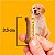 Biscoito Pedigree Biscrok para Cães Filhotes Sabor Leite 300g - Imagem 3