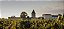 Chateau La Lagune - Moulin De La Lagune Aop Haut Medoc - Rouge - 2015 - 0,75 - Imagem 5