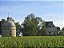 Chateau Latour - Les Forts De Latour Aop Pauillac - Rouge - 2019 - 0,75 - Imagem 3