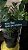 placa SOU FLOR QUE SE CHEIRE - Imagem 1