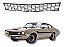 GRADE DIANTEIRO FORD MAVERICK 73-79 - Imagem 1