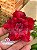 Rosa do Deserto - Sementeira Planta 0029/22 - Imagem 1