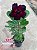 Rosa do Deserto - Sementeira Planta 0032/22 - Imagem 2