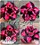 Rosa do Deserto Enxerto - Coralzinha - Imagem 1