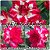 Rosa do Deserto Muda de Enxerto - Red Makeup - Flor Tripla - Imagem 1