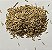 Semente Multi-Petals Mixed Coleção Michelon - Kit com 10 sementes - Imagem 3
