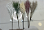 Galho Artificial Decorativo – Ref. 93110 Galho fino e ramificado com textura seca e aparência natural. Ideal para compos - Imagem 1