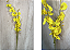 Galho Artificial de Orquídea Oncidium – Ref. W-07 Galho longo com flores amarelas vibrantes e detalhes realistas nas pét - Imagem 1