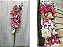 Haste Artificial de Orquídea Phalaenopsis Pink com Detalhes Brancos - Imagem 1