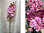 Haste Artificial de Orquídea Phalaenopsis Rosa com Detalhes Roxos - Imagem 1
